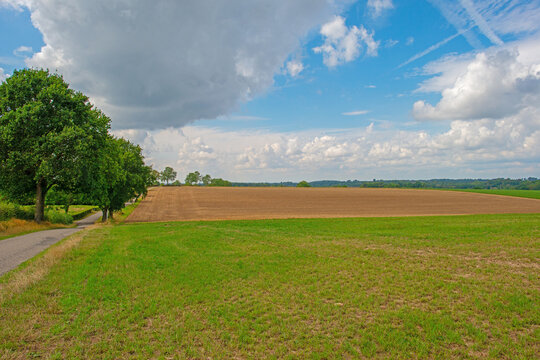 Fields and trees in a green hilly grassy landscape under a blue cloudy sky in sunlight in summer, Voeren, Limburg, Belgium, August, 2026