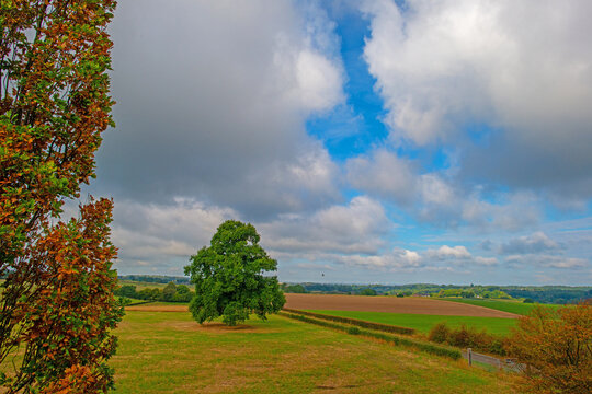 Fields and trees in a green hilly grassy landscape under a blue cloudy sky in sunlight in summer, Voeren, Limburg, Belgium, August, 2026