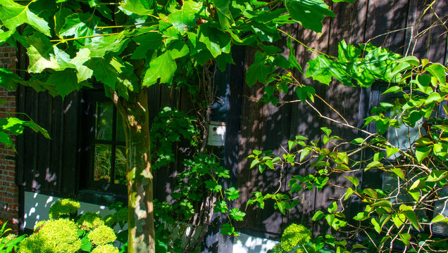 Architecture in sunlight and shadow in green woodland in summer, Voeren, Limburg, Belgium, August, 2026