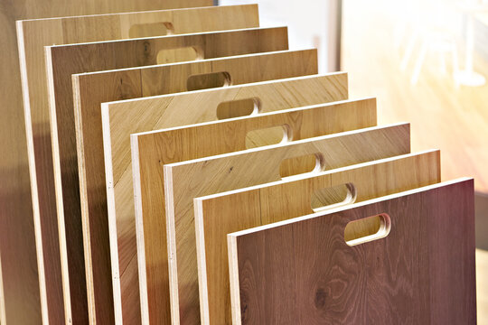 Wood flooring and laminate panel samples for interior design