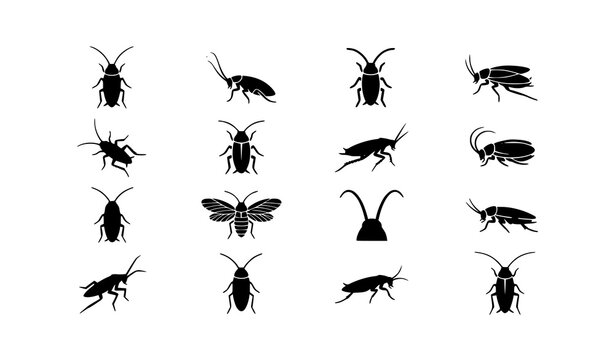 cockroach, roach, insect, bug, pest, silhouette, icon, vector, illustration, editable, isolated, black, flat, glyph, symbol, infestation, extermination, sanitation, hygiene, wildlife, entomology, craw