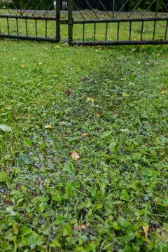 Waterlogged Grass Beneath a Metal Gate After Persistent Heavy Rain