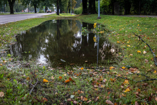Large Roadside Puddle After Heavy Rainfall in Early Autumn