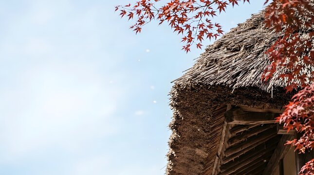 Traditional Japanese Thatched Roof with Autumn Maple Leaves