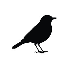 Obraz premium American robin silhouette vector flat illustration design.