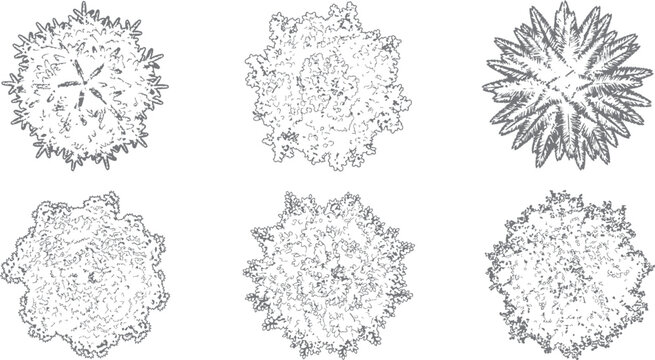 Tree Top View Line Art Set, Hand Drawn Sketch Collection of Trees Seen from Above