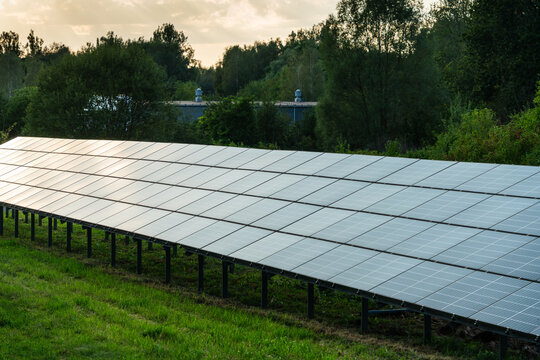 View of solar panels installed in a grassy field during golden hour with trees in the background in Dabrowa Gornicza, Silesian Voivodeship, Poland.