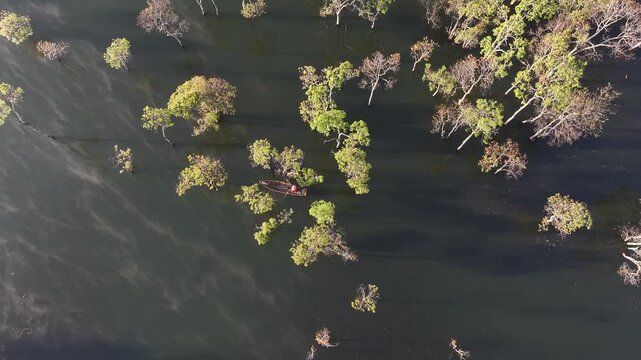 Aerial drone view of a fisherman rowing across Tuyen Lam Lake at sunrise near Suoi Tia in Xuan Huong, Da Lat, Vietnam, surrounded by peaceful pine forests.