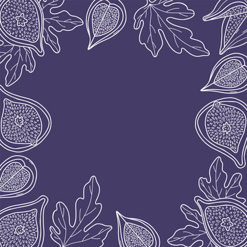 Fig Fruit Square Frame. White Outline Exotic Food Cut Half, Sliced Quarters and Leaves on Dark Purple Background. Botanical Border Template with Copy Space. Line Art Hand Drawn. Vector Illustration