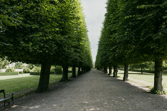 View of a symmetrical tree-lined path in a park with lush green foliage, a gravel walkway, and manicured lawns in Copenhagen, Denmark.
