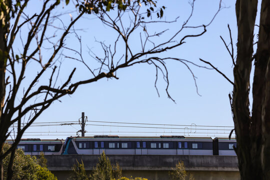 View of a driverless metro train traveling on elevated railway infrastructure framed by tree branches in Sydney, New South Wales, Australia.