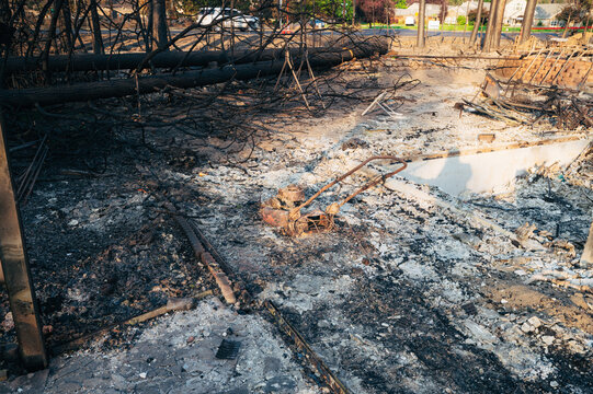 View of the aftermath of the wildfire, showing charred trees, debris, and a burnt lawnmower on the ground in Spokane, Washington, United States.