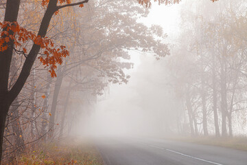 Fototapeta premium Empty asphalt road in foggy autumn forest with misty trees