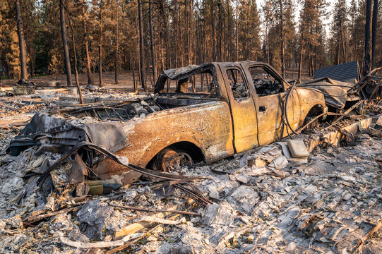 View of a burnt-out pickup truck sitting amidst the charred remains of a forest following a wildfire, with scorched trees and ash-covered ground in Spokane, Washington, United States.