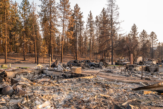 View of the charred remains of a residential property and destroyed vehicles following a wildfire, with scorched pine trees in the background in Spokane, Washington, United States.