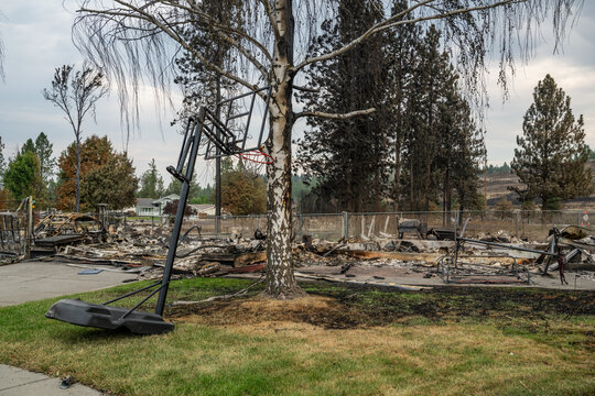 View of a residential area destroyed by the 2026 Spokane wildfires, featuring a charred basketball hoop, scorched trees, and debris in Spokane, Washington, United States.