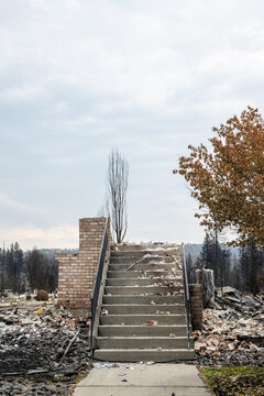 View of concrete stairs standing amidst the ruins of a house destroyed by wildfires, with charred trees and debris in the background in Spokane, Washington, United States.