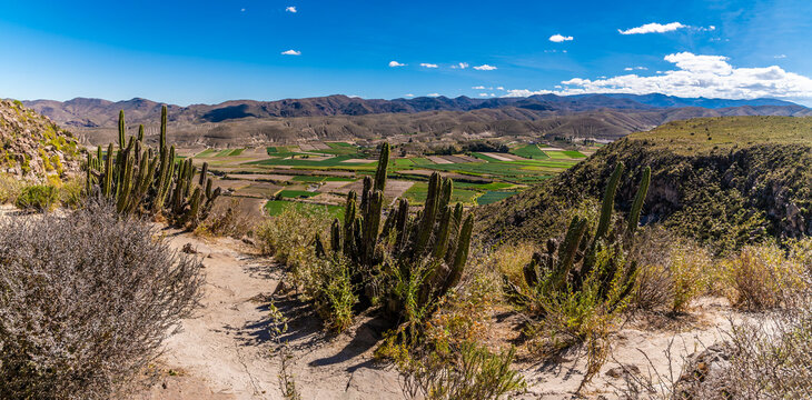 A panorama view from a lookout over the Colca Canyon region in the Andes mountains of Peru in the dry season