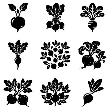 Beetroot and radish silhouette vector icon set fresh vegetables