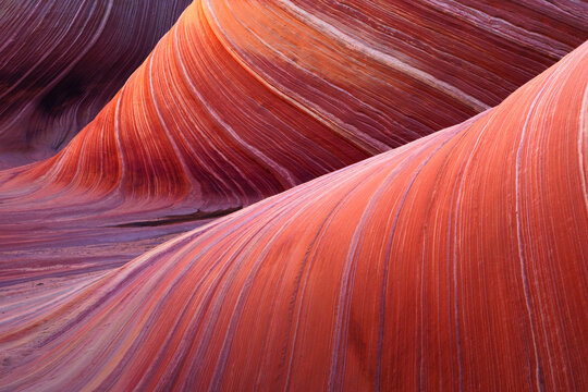 View of the undulating sandstone rock formations of The Wave with vibrant orange and red layers, Kanab, Arizona, United States.