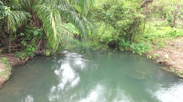 rain forest stream. A small river flows from the jungle. Thailand