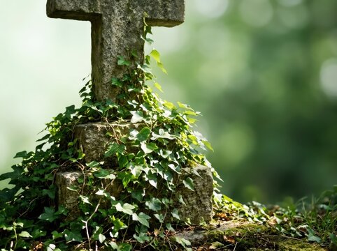Old weathered stone cross overgrown with green ivy in cemetery. Symbol of faith, memory and eternal life. Religious monument and spiritual heritage with blurred nature background