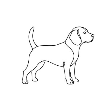 vector illustration of Simple black and white beagle dog standing