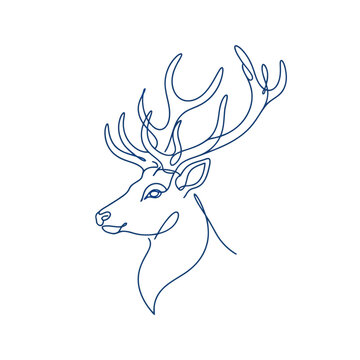 vector illustration of Line drawing deer head with antlers