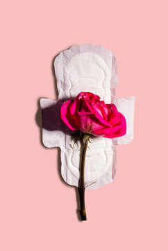 Menstrual pad with rose flower on pink background. Menstruation cycle period, woman hygiene and comfort concept