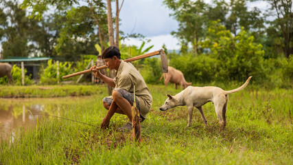A man is kneeling in a green field, using a hoe to work the soil. A dog stands beside him, watching the activity. Trees and fields are visible in the background © Happy Photo