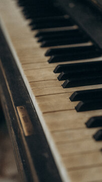 View of piano keys with aged ivory finish and dark wooden frame in CZ.