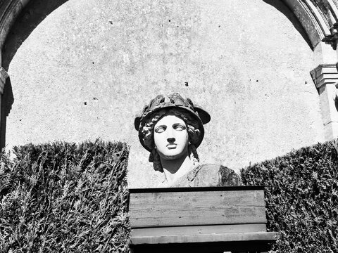Black and White Shot of Classical Antique Stone Statue Bust