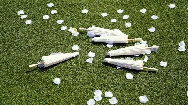 Stylish white vintage umbrellas provide shade from the hot, bright sun on a sunny summer day. Wedding ceremony for the bride and groom.