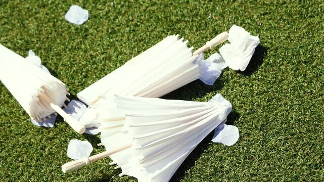 Stylish white vintage umbrellas provide shade from the hot, bright sun on a sunny summer day. Wedding ceremony for the bride and groom.