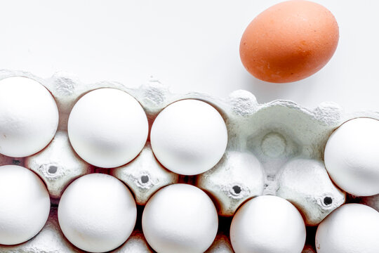 concept of correct choice eggs on white background top view