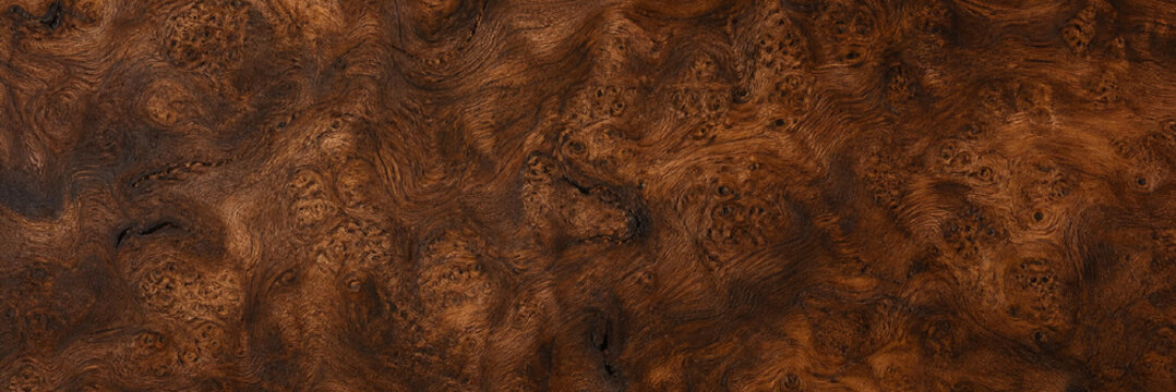 Dark walnut burl wood texture with intricate natural grain patterns and rich brown tones