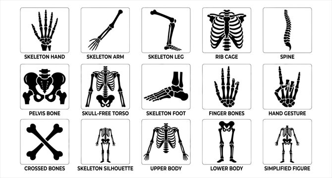 Set of black and white human skeleton bone icons showing various anatomical parts and body structures