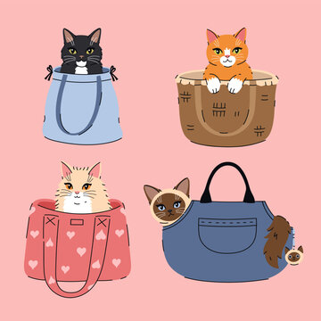 Cute cartoon cats and kittens sitting inside bags and baskets, vector illustration set