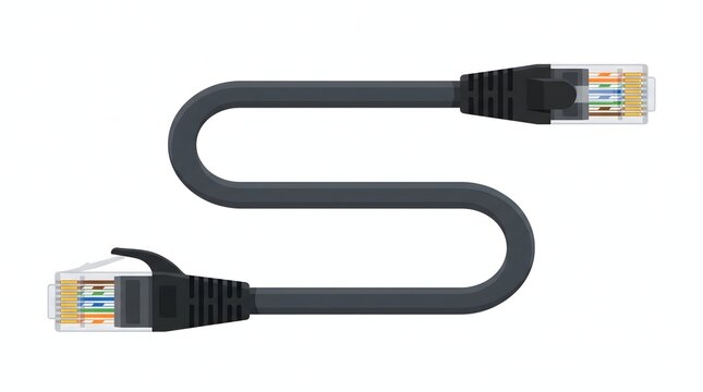 Dark gray twisted pair ethernet network cable with RJ45 connectors.
