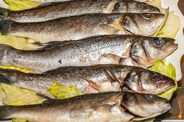 Fototapeta premium Delicious grilled sea bass and sea bream fish served on a plate with fresh lemon slices, rosemary, and olive oil. Healthy Mediterranean dinner concept.