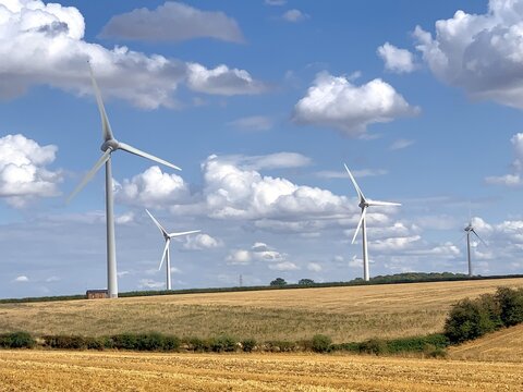 View of the Burton Wold wind farm with large white wind turbines standing in golden wheat fields under a bright blue sky in Burton Latimer, England, United Kingdom.