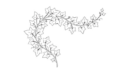 Naklejka premium Hand-drawn ivy vine vector illustration, black and white botanical line art, elegant climbing plant branch for wedding invitations