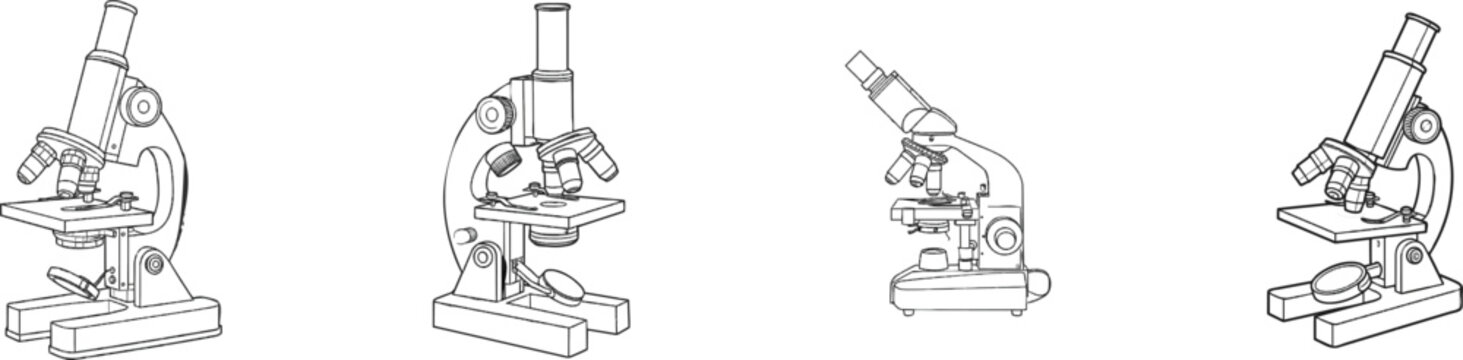 A classic black-and-white flat vector illustration of a laboratory compound optical microscope with focus knobs and objective lenses against a minimal white background