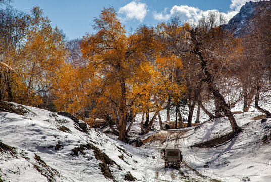 View of a vehicle driving on a snow-covered path surrounded by trees with vibrant autumn foliage near Naltar Lakes in Nomal, Gilgit, Pakistan.