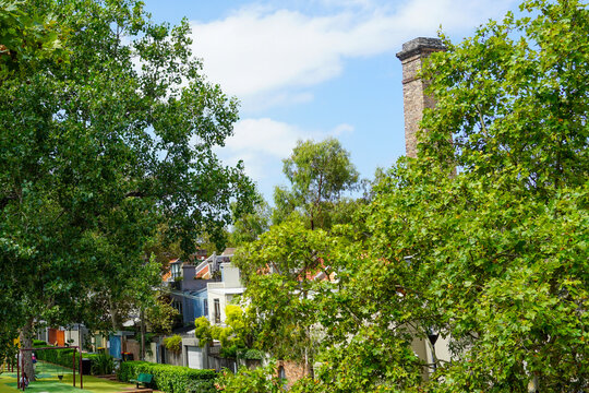 Surry Hills park urban residential landscape in Sydney