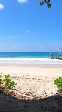 Vertical panoramic view of Grande Anse beach on Mahe Island in Seychelles showing turquoise water, white sand and lush tropical coastal scenery.