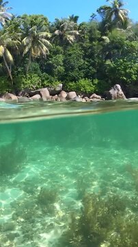 Vertical split view of Anse Royale beach in Seychelles showing the tropical shoreline above water and crystal clear turquoise sea below the surface.