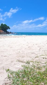 Vertical panoramic view of Anse Louis on Mahe Island in Seychelles showing turquoise water, tropical coastline, white sand and lush vegetation.