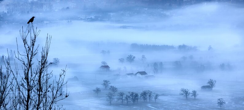 View of a bird perched on a bare tree branch overlooking the misty Arve Valley with small buildings and trees emerging from the morning fog in Geeveston, Tasmania, Australia.