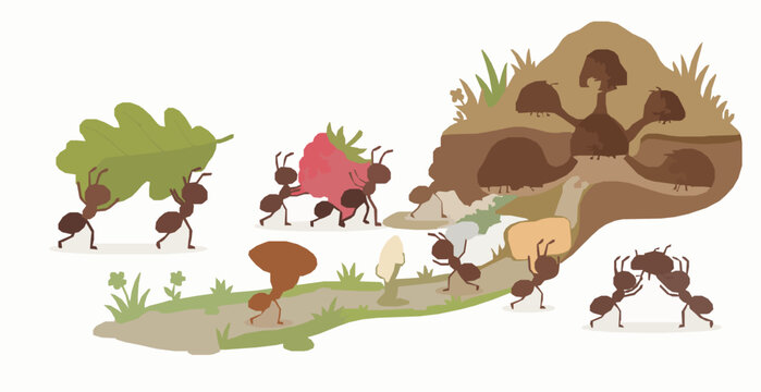 SEO Title: Ant Colony Cooperation Food Gathering Cartoon Flat Vector Illustration